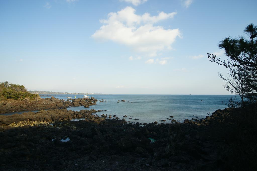 Sunny Day Jeju Villa Seogwipo Eksteriør bilde