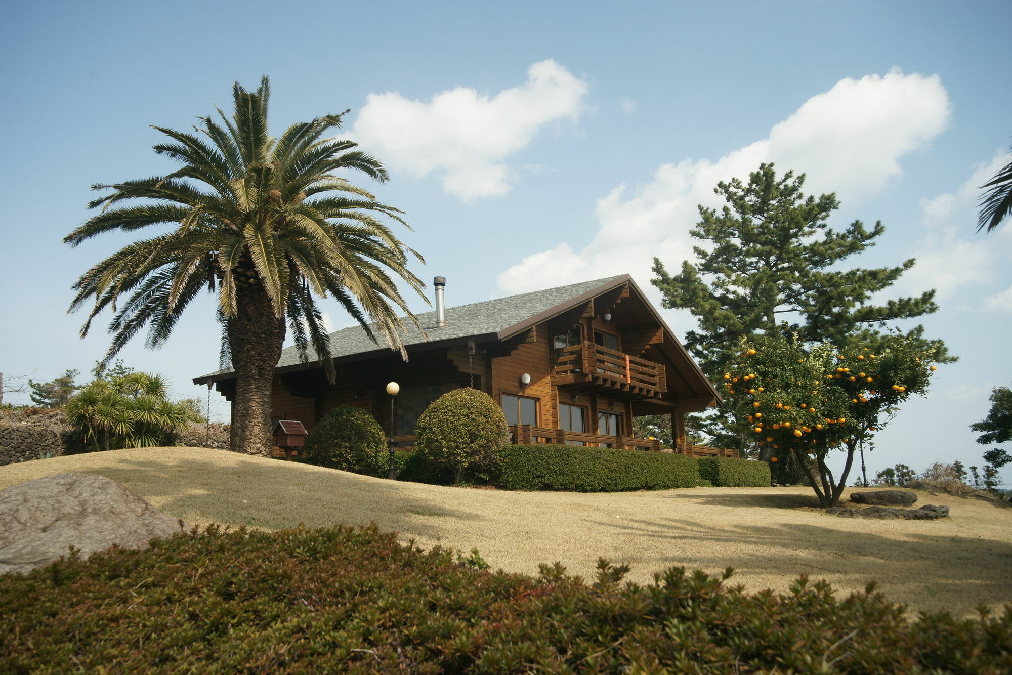 Sunny Day Jeju Villa Seogwipo Eksteriør bilde