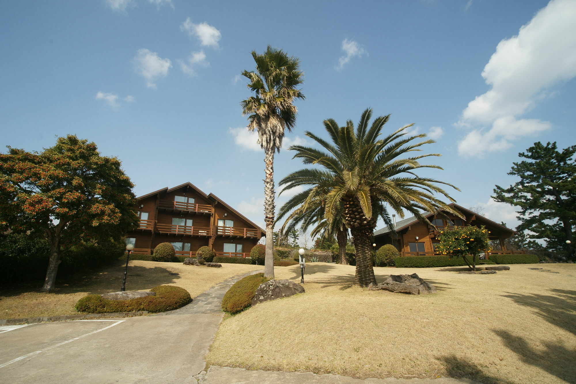 Sunny Day Jeju Villa Seogwipo Eksteriør bilde
