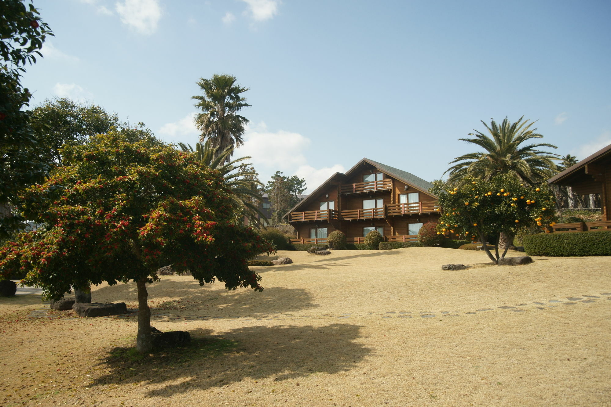 Sunny Day Jeju Villa Seogwipo Eksteriør bilde