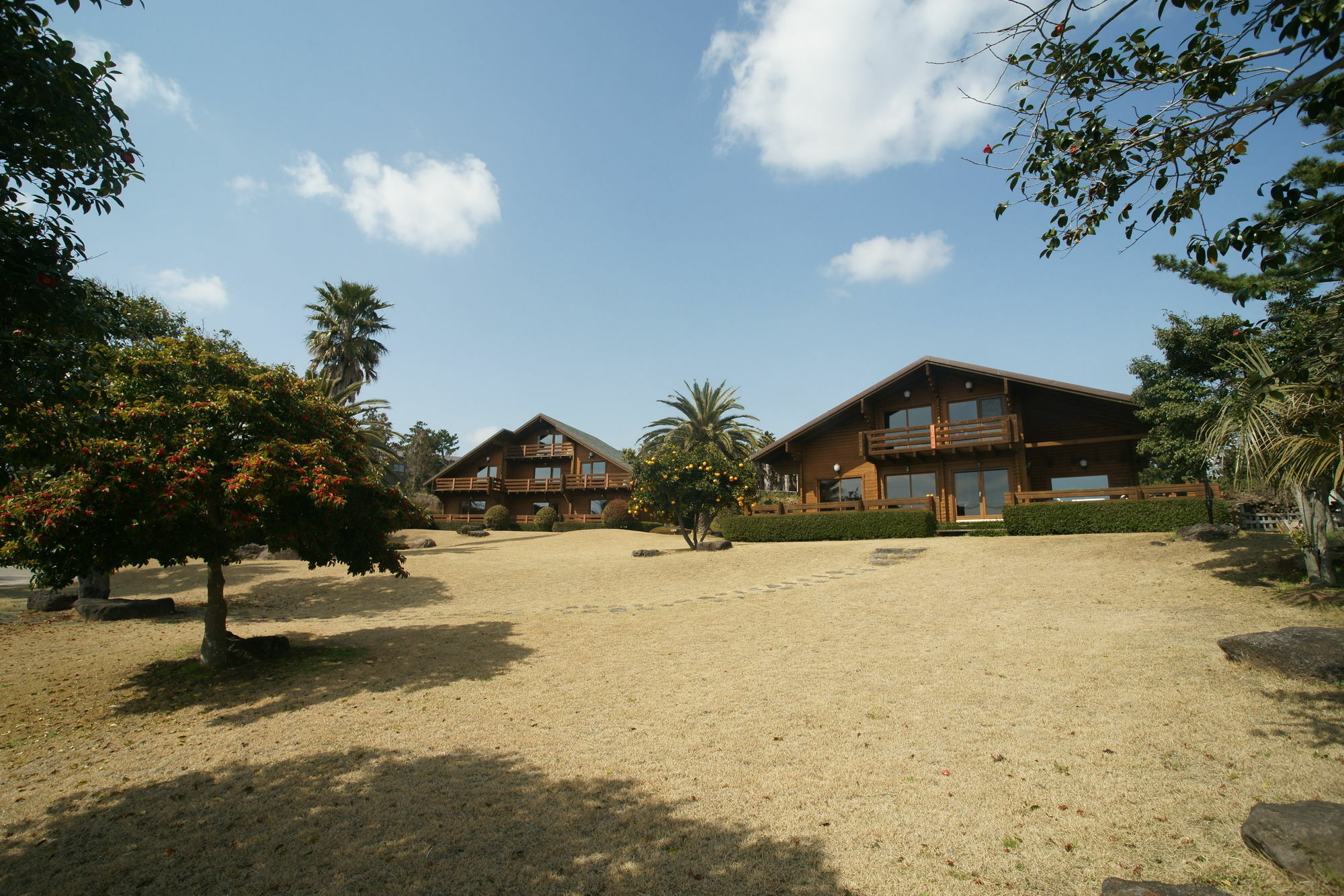 Sunny Day Jeju Villa Seogwipo Eksteriør bilde