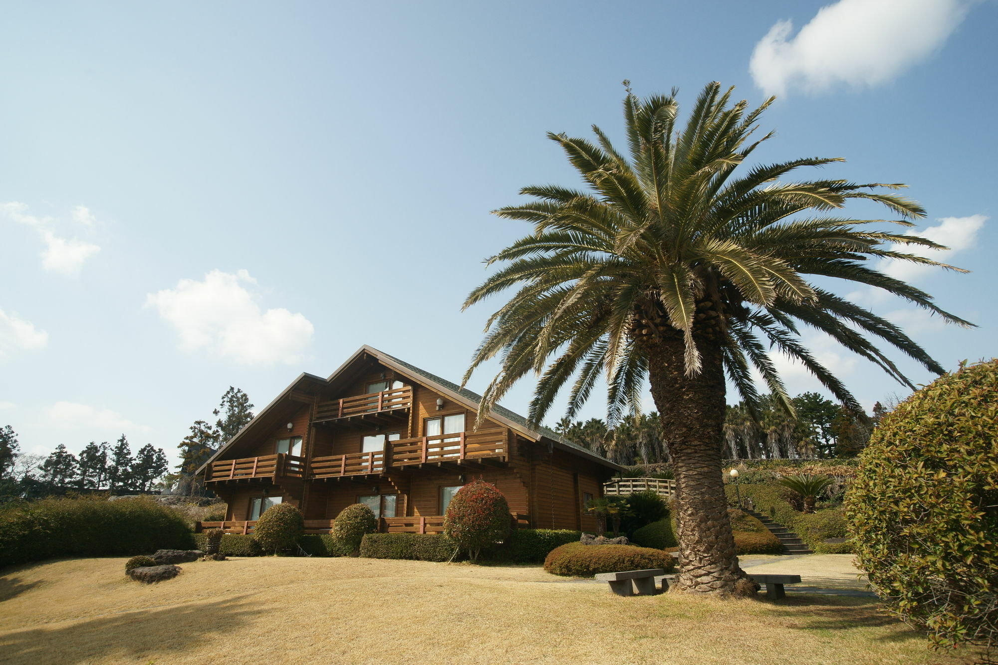 Sunny Day Jeju Villa Seogwipo Eksteriør bilde