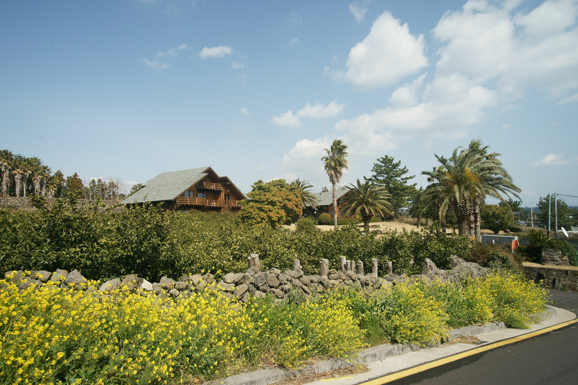 Sunny Day Jeju Villa Seogwipo Eksteriør bilde