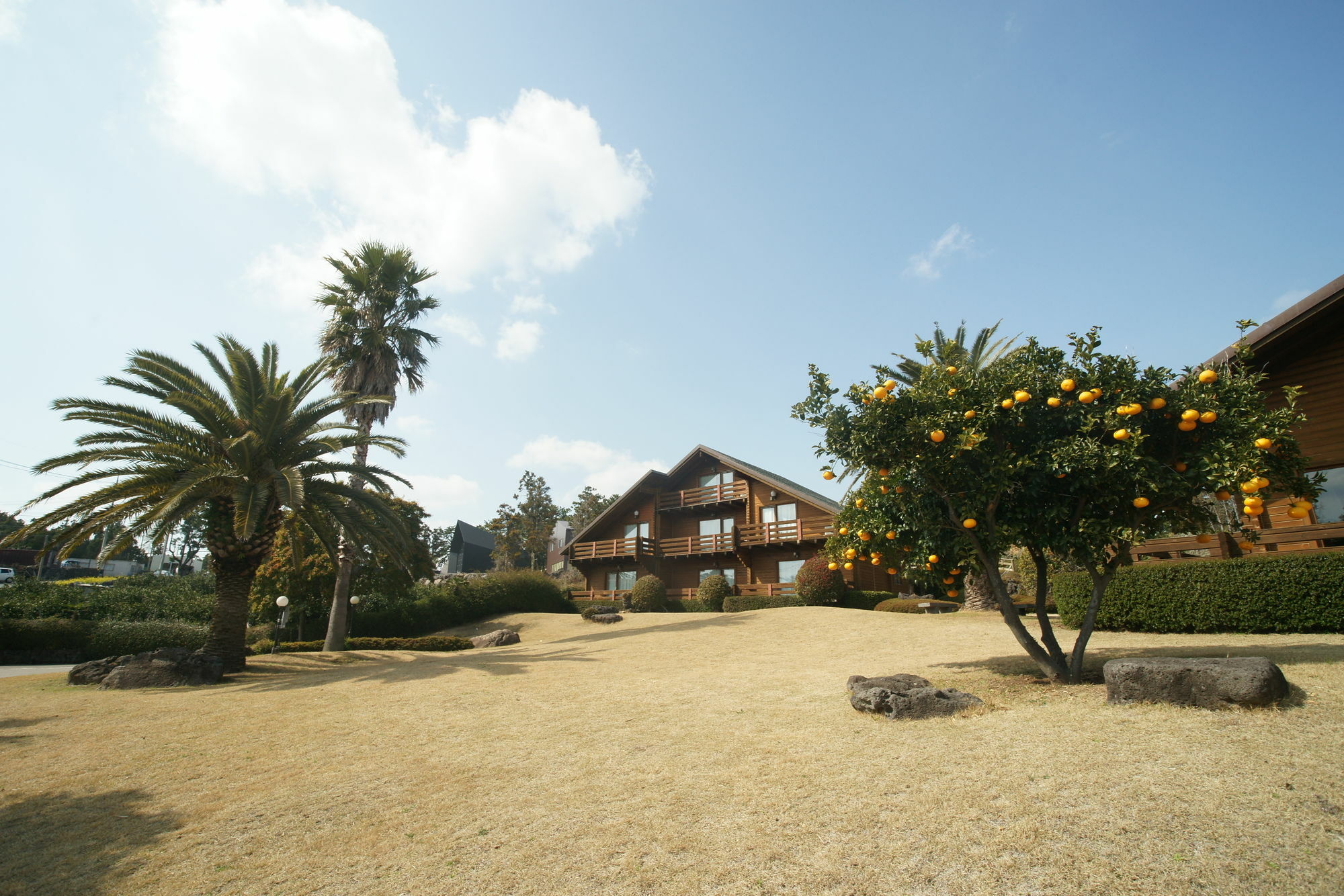 Sunny Day Jeju Villa Seogwipo Eksteriør bilde